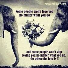 Pin By Savanna Johnson On Inspirational Quotes Elephant Love You Quotes