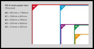 I am 164 cm tall without shoes and 165 cm with shoes. What Are The Width And Height Of A4 Paper