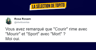 Le Leopard Aussi Appele Panthere Est Une Espece De Felins Presentant Des Taches Sur Son Pelage Il Est Capable Tweets Drole Humour Citations Les Plus Droles