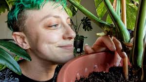 humorous observation about succulents and growth