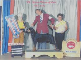 Ch. Shirtrai Clown of Corn