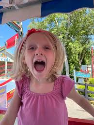 What time does Toothless meet guests?