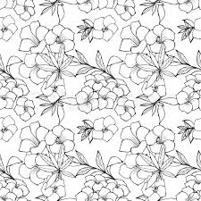 Premium stock photo of seamless floral pattern (noir et blanc). Black And White Outline Seamless Stock Vector Colourbox
