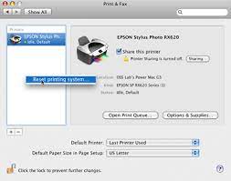 Official epson® support and customer service is always free. I Can No Longer Print After Installing The Latest Epson Printer Drivers Update Via Apple S Website Software Update Macos Mac Os X Epson