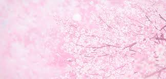 Mar 08, 2021 · engage in cultural experiences to discover japan's unique sense of aesthetic beauty nov. Link On The E Zen Cart Magento