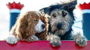 Disney S Lady And The Tramp Remake Will Star A Mixed Breed Rescue Dog Named Monte Lady And The Tramp Tramps Movie Disney Live Action