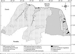 Image result for Hypolytrum goetghebeur