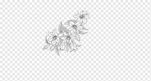 Line art illustration of traditional north sumatra indonesian dance tari campak bunga Flower Line Art Drawing Flower Line White Leaf Branch Png Pngwing