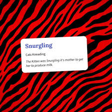 Image result for Snurgle