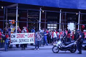 Image result for anglický setr lawerak