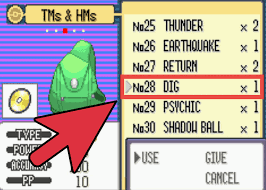 What And Where Is The Hm Forgetter In Omega Ruby ? - Pokébase Pokémon  Answers