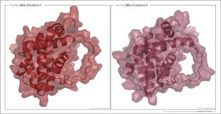 Image result for BCL2 Inhibitor