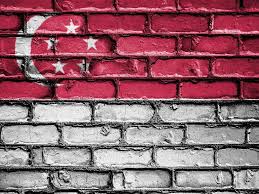 An electronic report that provides information such as unique entity number (uen), business entity name, business activities, registration date, the details of owners/officers and etc. Singapore Goes Online Looking For Intelligence Texas News Today