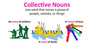 What is a group of girls called? The Perfect Collective Nouns For The Modern World