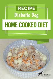 The extra care and attention you'll give them may even strengthen your bond. Recipe Diabetic Dog Home Cooked Diet Top Dog Tips