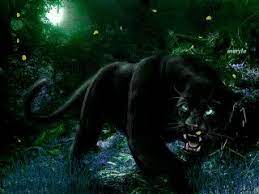 1920pixels x 1200pixels size : 23 Ide Macan Hitam Binatang Buas Hitam Kucing Besar