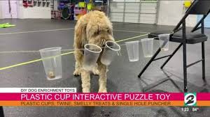 Check spelling or type a new query. Exercise Your Dog S Brain With These 4 Diy Enrichment Activities