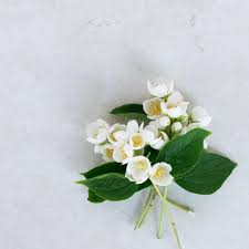 Check spelling or type a new query. The 6 Most Expensive Perfume Ingredients In The World