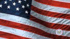 Didn't have and she thought hopefully you kids would grow up and. 10 Pledge Of Allegiance Ideas Pledge Of Allegiance Pledge Kindergarten Social Studies