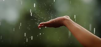 Recorded and produced by orange free sounds. Raindrops Sound Free Sound Effects Ambient Sounds