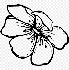 We did not find results for: Sticker By Lucia Gloria Zivago Png Doodle Flower Black And White Png Image With Transparent Background Toppng