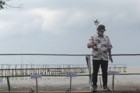 Check spelling or type a new query. Menteri Edhy Janji Tak Ada Lagi Hutan Mangrove Jadi Tambak Budidaya
