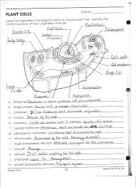 Check spelling or type a new query. 31 Blank Animal Cell Diagram To Label Pdf Labels For Your Ideas