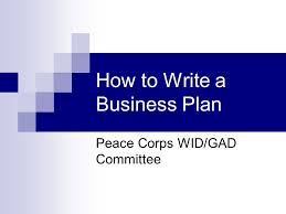 How To Write A Business Plan Peace Corps Wid Gad Committee