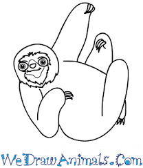 How to draw snail easy? How To Draw A Cartoon Sloth