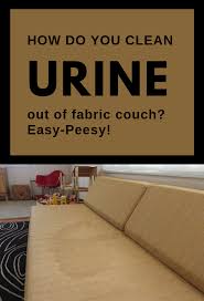 How Do You Clean Urine Out Of Fabric Couch Easy Peeasy Topcleaningtips Com Couch Fabric How Do You Clean Clean Fabric Couch