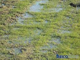 Combien coûte le drainage d'un jardin ? Solution Drainage Pour Terrain Super Argileux