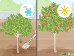 It has all the hallmarks of success, including low initial investment and high earning potential. How To Grow A Summer Garden The Beginner S Guide On What To Plant And When