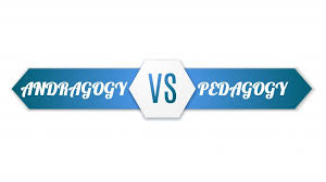 Pedagogy Vs Andragogy In Elearning Can You Tell The