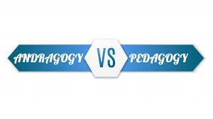 pedagogy vs andragogy in elearning can you tell the