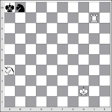 Gezogen ist gezogen, und gesagt ist gesagt. Matt In 1 Zug Herzlich Willkommen In Der Welt Vom Grossen Schach 10x10