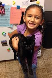 Jun 05, 2021 · hundreds of dogs and cats are ready to find their forever home, said roxie randall with indianapolis animal care services. Indianapolis Pet Adoption Event A Success Best Friends Animal Society