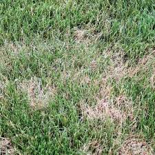 It requires plowing and cultivating the. Asizo01cqjgwfm