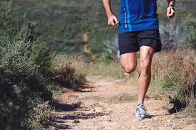 Échauffement, corps de séance & retour au. Plan Entrainement Trail Long 40 A 70 Km Preparation Trail 1