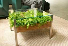 Unusual Glass Top Coffee Table Design In Eco Style Coffee Coffeetable Design Eco Terrassenpflanzen Zimmerpflanzen Ideen Kleinen Raumgartnerei