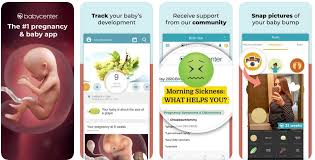 The best pregnancy diet app: 10 Best Pregnancy Apps In The Market Baby Care App Development