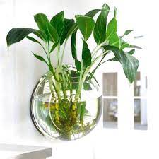 Bergs linen pots are a durable. 62 Favourite Vegetable Hydroponic Garden Ideas And Decoration The Expert Beautiful Ideas Fish Tank Wall Hanging Plant Wall Glass Flower Vases