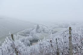 Schenk Deiner Kamera Einen Extra Schal Denn Hast Du Dich Und Dein Equipment Erstmal Warm Eingepackt Steht Der Motivsuche Nichts Mehr Im Weg Outdoor Snow Vons