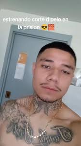 Corte De Espiga En Usa