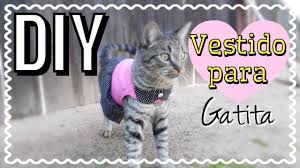 Diy Como Hacer Un Vestido Para Gatita Youtube