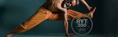 4 live di follow up. Percorso Hatha Yoga Internazionale