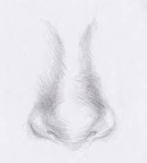 Pin By Megan Evenson On Drawing Realistic Drawings Drawing Techniques Art Techniques