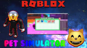 Tysm for the codes i hope u get 500 subscribes. Roblox Pet Simulator Auto Farm Script Hack Me Robux