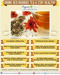 Health Benefits Of Red Rooibos Tea Organic Facts Red Rooibos Tea Rooibos Tea Rooibos
