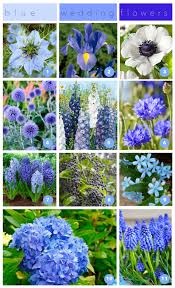 Maybe you would like to learn more about one of these? Blue Flowers The Best Blue Wedding Flowers In The Colour Of The Year Classic Blue