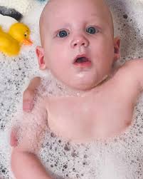 Nikki Vogel (@thevogelfam) • Instagram photos and videos